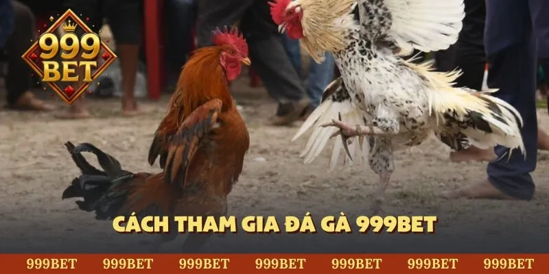 Cách tham gia đá gà 999BET
