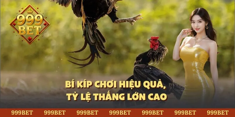 Bí kíp chơi hiệu quả, tỷ lệ thắng lớn cao