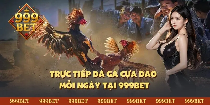 Trực tiếp đá gà cựa dao mỗi ngày tại 999BET