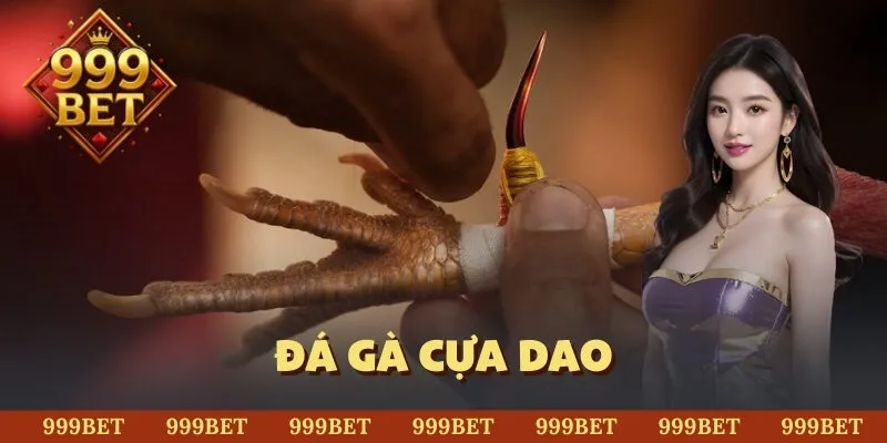 đá gà cựa dao