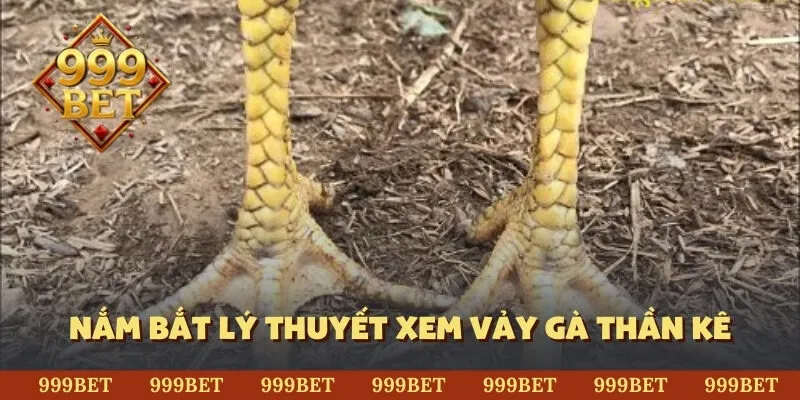 Nắm bắt lý thuyết xem vảy gà thần kê
