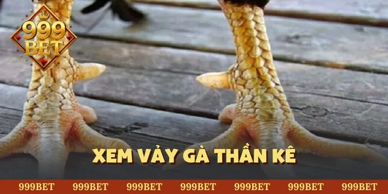 Xem vảy gà thần kê